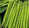 Italian Green Beans