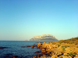 spiaggia conchiglie